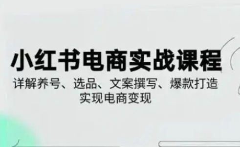 小红书从0-1实操课2025养号、选品、文案撰写、爆款打造实现电商变现-3949网赚